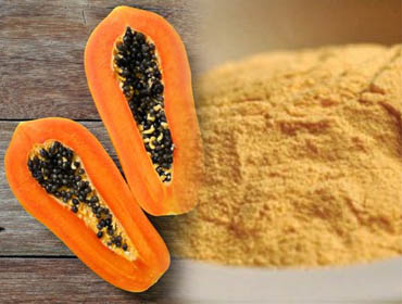 Papain powder supplier Papain powder supplier